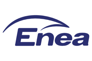 Wice-przewodnicząca Rady Nadzorczej ENEA S.A.
