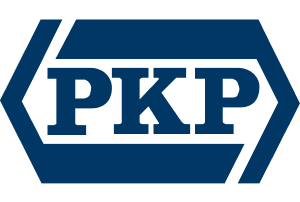 Dyrektor Pionu Finansów, Członek Rady Nadzorczej PKP Cargo S.A.